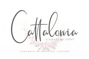 Cattalonia Typeface: A Designer’s Honest Review