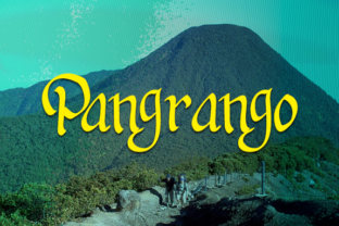 Pangrango Typeface: A Handwritten Font for Authentic Brands