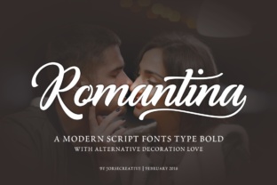 Romantina: A Modern Script Font for Web Design