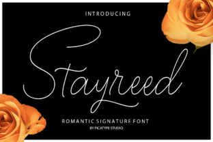 Stayreed: A Delicate Script Font for Crafters