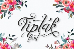Tiptak: A Romantic Script Font for Campaigns
